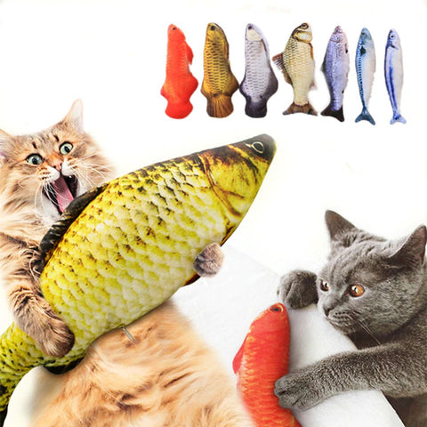 Plush 3D cat fish catnip toy（10 Species & 3 Size of fish)