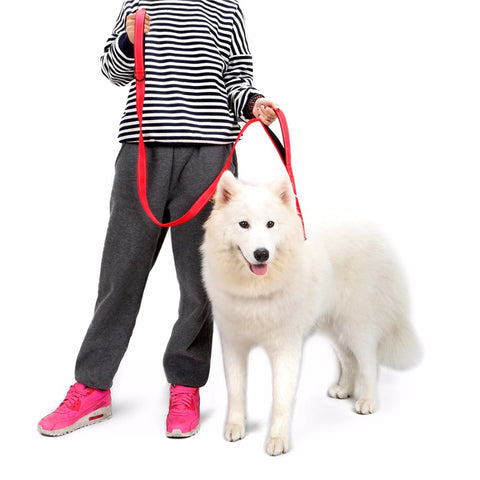 two handle reflectible double layer thick dog leash(1.5m)