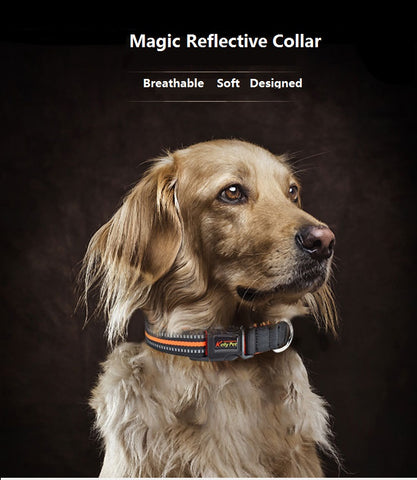 caring design dog comfortable reflective collar