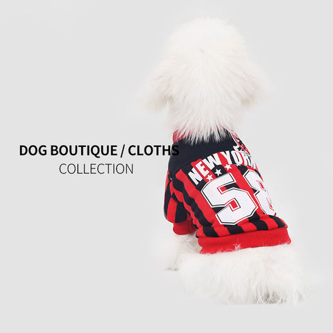 small dog red sports coat