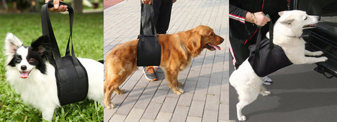adjustable harness carelift for aged or injured dog