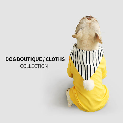 small dog yellow fashion coat