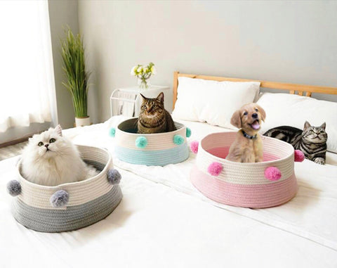 pet stylish sleeping basket