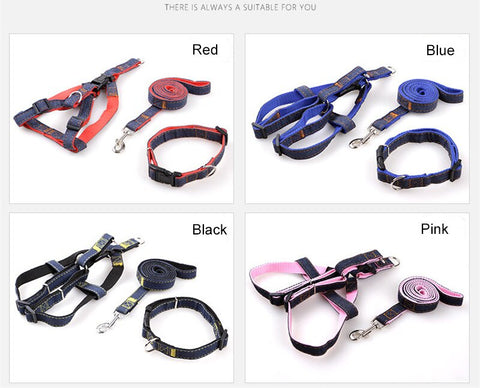 dog denim harness with leash or collar with leash