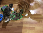 mouse hunt 9 holes cat toy