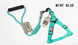 best seller boutique design touchdog harness with round leash