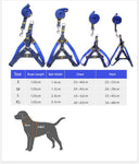 dog denim harness with leash or collar with leash