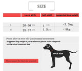touchdog fashion collar with lead small dog