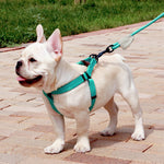 best seller boutique design touchdog harness with round leash