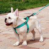 best seller boutique design touchdog harness with round leash